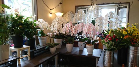 奈良県奈良市の花屋 花工房ｋａｙａｍａにフラワーギフトはお任せください 当店は 安心と信頼の花キューピット加盟店です 花キューピットタウン